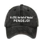 It's Still The Gulf Of Mexico PENDEJO Hat