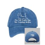 Retro FDT My Cat Could Run The Country Better Pride Baseball Cap