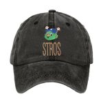 Texas Houston Stros Hat