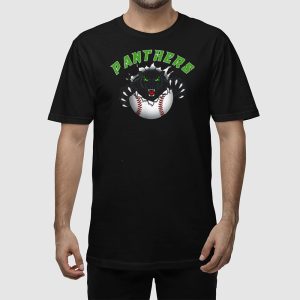 Panthers Youth Baseball Shirt 2