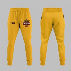 Minnesota 2025 Womens Basketball WBIT Champions Hoodie1