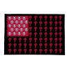 Phillies American Flag Doormat