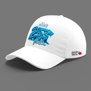 2025 Pete Alonso 253 Home Run Record Hoodie2