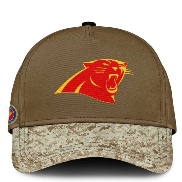 2025 Panthers US Marine Corps 250th Year Anniversary Hoodie