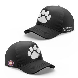 Dabo Swinney Clemson Tigers Purpose Passion Hoodie 20252
