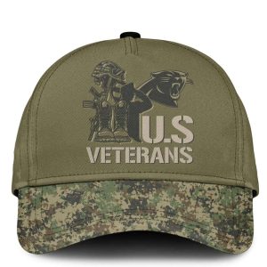 Panthers Veteran Day Hoodie 20254