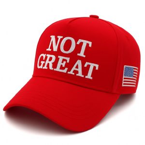 Trump Not Great 8647 Hat