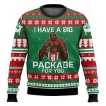 I Have A Big Package For You Funny Ugly Christmas Sweater