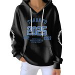 Toronto Baseball 2025 World Series Champions Pit Striped Hoodie