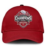2025 Indiana Big 10 Conference Champions Hat