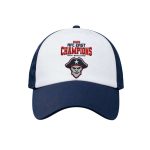 Patriots 2025 AFC East Champions Hat
