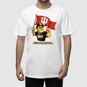 Just For Today Indiana Pacers Shirt 5