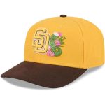 Padres 2026 Spring Training Hat