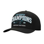 Panthers NFC South Champions 2025 Hat