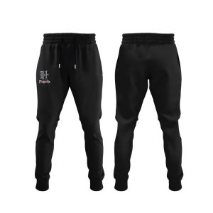 Texans 2025 Playoffs SWARM City Hoodie2