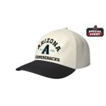 2026 Dbacks Healthcare Heroes Hat Giveaway