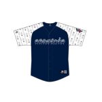 2026 Harrisburg Senators Deaf & Hard of Hearing Awareness Night Jersey Giveaway