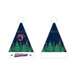 2026 Jacksonville Jumbo Shrimp Santa Hat Giveaway