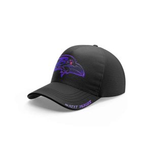 Ravens In The Flight 2026 Hoodie2