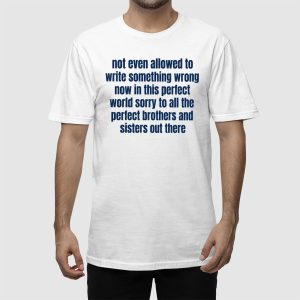 Not Even Allowed To Write Something Wrong Now In This Perfect World Shirt (2)